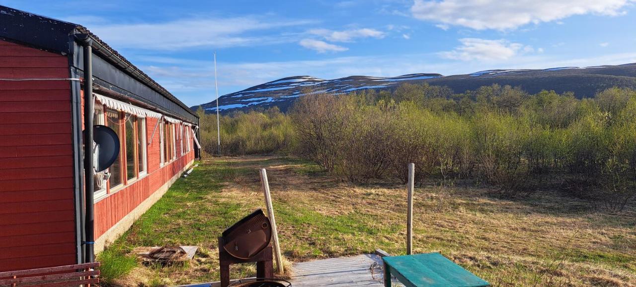 Austertanakrystallen By Pure Lifestyle Arctic Екстериор снимка